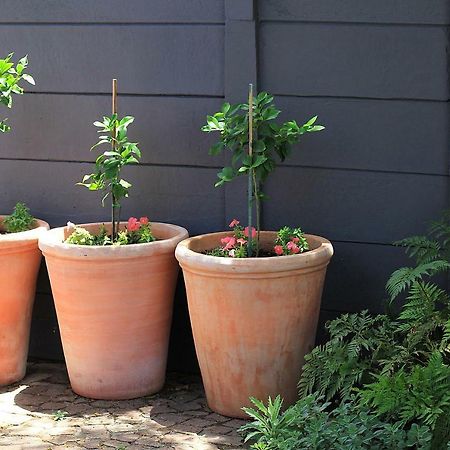 Olive Tree Private Rooms In Stellenbosch- No Load Shedding Εξωτερικό φωτογραφία
